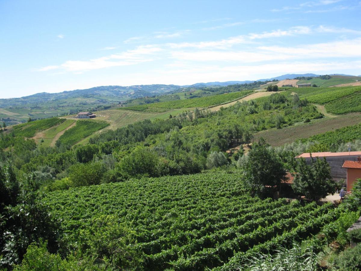 Gli Acini Bed & Breakfast Pietra de' Giorgi ภายนอก รูปภาพ