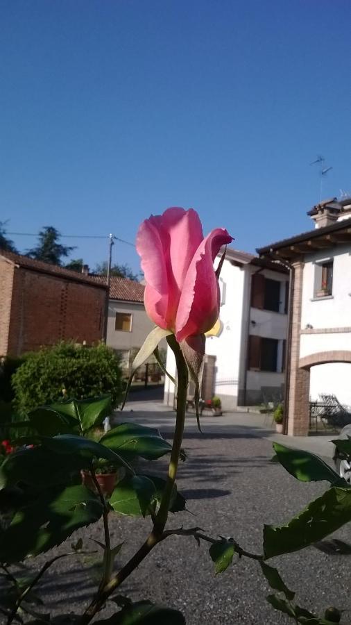 Gli Acini Bed & Breakfast Pietra de' Giorgi ภายนอก รูปภาพ