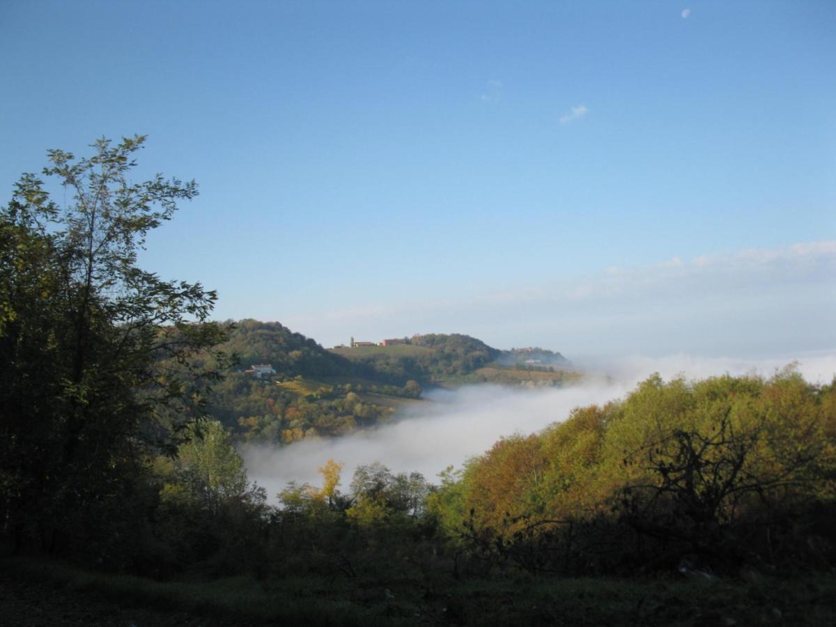 Gli Acini Bed & Breakfast Pietra de' Giorgi ภายนอก รูปภาพ